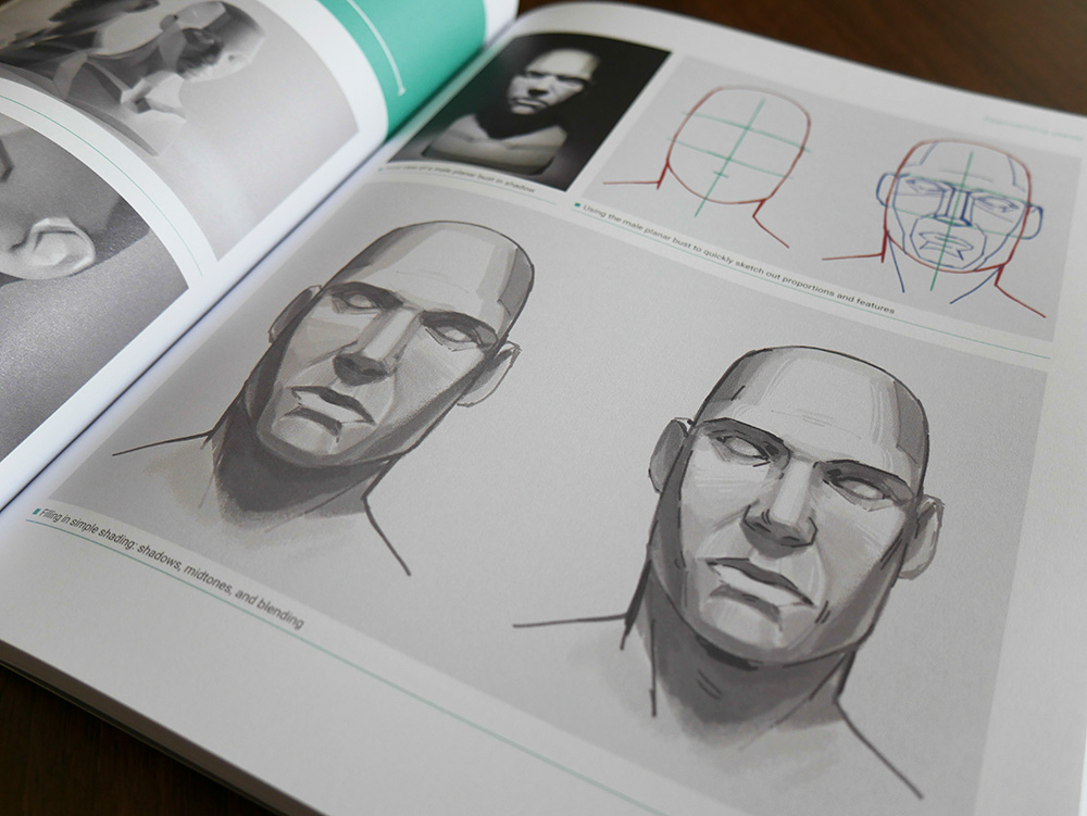 The Artist’s Guide to the Anatomy of the Human Head - 3dtotal Publishing